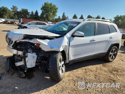 2019 JEEP CHEROKEE LIMITED 1C4PJMDX5KD126571 - główne zdjęcie licytacji z USA - miniatura