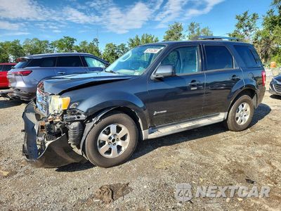 2009 FORD ESCAPE HYBRID 1FMCU59349KB61329 - główne zdjęcie licytacji z USA - miniatura