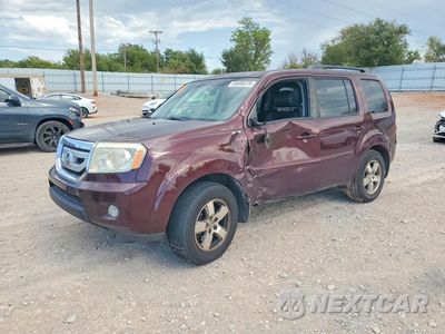 2011 HONDA PILOT EXL 5FNYF4H55BB050230 - główne zdjęcie licytacji z USA - miniatura