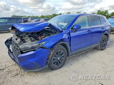 2024 HONDA CR-V EX 2HKRS4H42RH459384 - główne zdjęcie licytacji z USA - miniatura