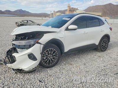 2025 FORD ESCAPE 1FMCU0E14SUB56374 - główne zdjęcie licytacji z USA - miniatura