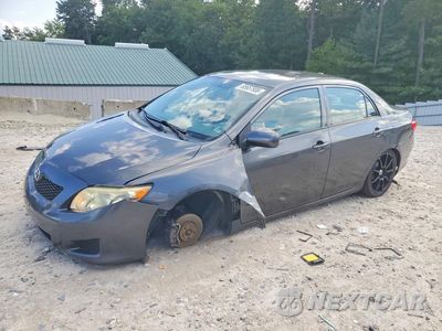 2010 TOYOTA COROLLA LE 2T1BU4EE7AC276529 - główne zdjęcie licytacji z USA - miniatura