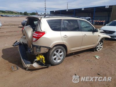 Trzecie zdjęcie samochodu z tyłu: 2009 TOYOTA RAV4 LIMITED VIN:JTMBK31V09D008975 - miniatura