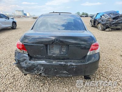 Zdjęcie 6 z 12 samochodu: 2008 HONDA ACCORD EXL VIN:1HGCP36898A028443 - miniatura