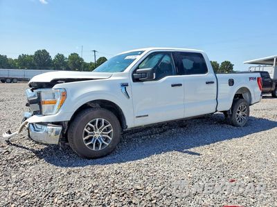 2021 FORD F150 SUPERCREW 1FTFW1E12MFC73685 - główne zdjęcie licytacji z USA - miniatura