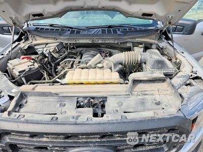Zdjęcie 11 z 12 samochodu: 2023 FORD F150 SUPER CAB VIN:1FTFX1E52PKD15770 - miniatura