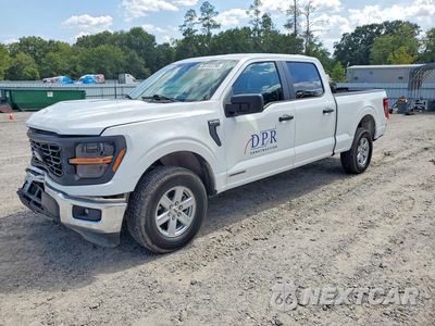 2024 FORD F150 XL 1FTFW1FD9RFB65712 - główne zdjęcie licytacji z USA - miniatura
