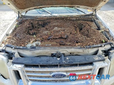 Zdjęcie 12 z 13 samochodu: 2006 FORD EXPLORER EDDIE BAUER VIN:1FMEU648X6UA20055 - miniatura