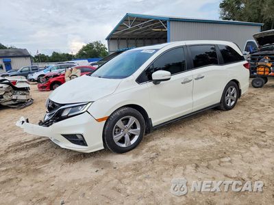 2019 HONDA ODYSSEY EXL 5FNRL6H73KB043643 - główne zdjęcie licytacji z USA - miniatura