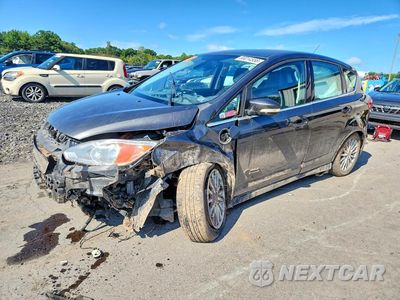 2016 FORD C-MAX PREMIUM SEL 1FADP5CU8GL112522 - główne zdjęcie licytacji z USA - miniatura