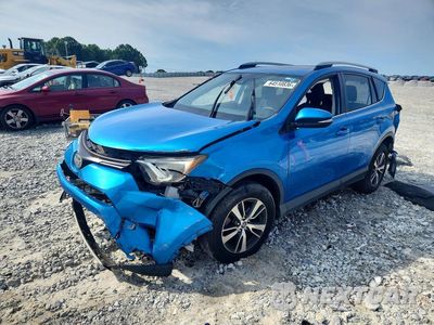 2017 TOYOTA RAV4 XLE JTMWFREV6HJ712701 - główne zdjęcie licytacji z USA - miniatura