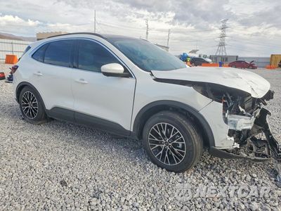Czwarte zdjęcie samochodu z boku: 2025 FORD ESCAPE VIN:1FMCU0E14SUB56374 - miniatura
