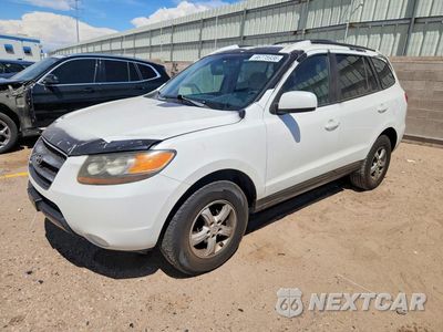 2007 HYUNDAI SANTA FE GLS 5NMSG73D07H075206 - główne zdjęcie licytacji z USA - miniatura