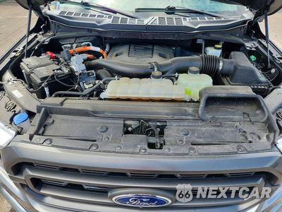 Zdjęcie 11 z 12 samochodu: 2023 FORD F150 SUPERCREW VIN:1FTFW1EDXPFB31597 - miniatura
