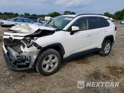 2019 TOYOTA RAV4 XLE JTMP1RFV6KJ018812 - główne zdjęcie licytacji z USA - miniatura