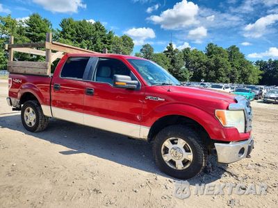 Czwarte zdjęcie samochodu z boku: 2010 FORD F150 SUPERCREW VIN:1FTFW1EVXAFC06136 - miniatura