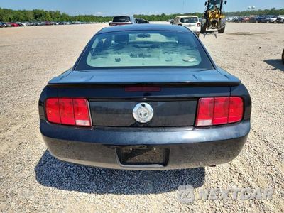 Zdjęcie 6 z 12 samochodu: 2008 FORD MUSTANG VIN:1ZVHT80N385159739 - miniatura