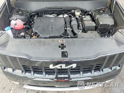 Zdjęcie 12 z 13 samochodu: 2027 KIA TELLURIDE EX VIN:5XYPC5S19VG014442 - miniatura