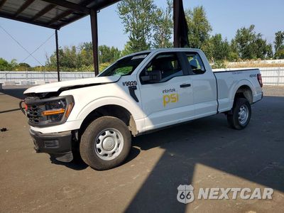 2024 FORD F150 XL 1FTEX1LPXRKD44954 - główne zdjęcie licytacji z USA - miniatura