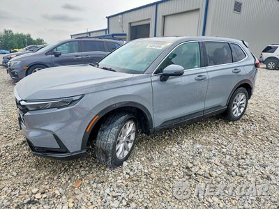 2024 HONDA CR-V EX 7FARS4H45RE007061 - główne zdjęcie licytacji z USA - miniatura