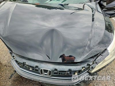 Zdjęcie 11 z 12 samochodu: 2017 HONDA ACCORD SPORT SPECIAL EDITION VIN:1HGCR2F17HA219026 - miniatura