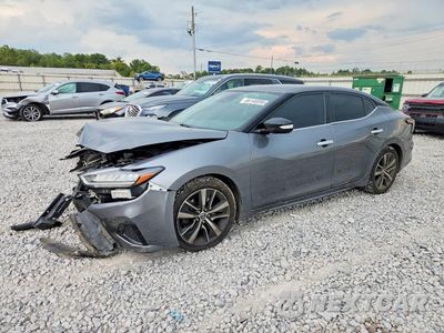 2022 NISSAN MAXIMA SV 1N4AA6CV4NC503344 - główne zdjęcie licytacji z USA - miniatura