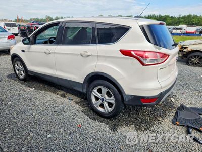 Drugie zdjęcie samochodu z przodu: 2014 FORD ESCAPE SE VIN:1FMCU0GX4EUB59779 - miniatura
