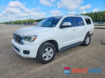 2019 TOYOTA SEQUOIA SR5 5TDZY5G12KS072541 - główne zdjęcie licytacji z USA - miniatura