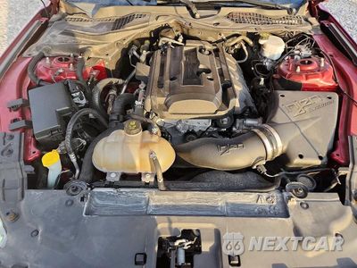 Zdjęcie 11 z 13 samochodu: 2019 FORD MUSTANG VIN:1FA6P8TH1K5187704 - miniatura
