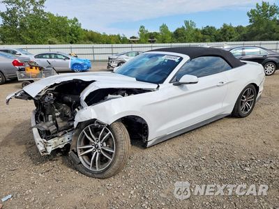 2017 FORD MUSTANG I4 CONVERTIBLE 1FATP8UH7H5238410 - główne zdjęcie licytacji z USA - miniatura