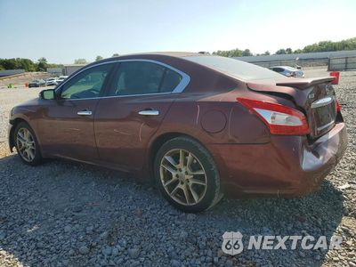 Drugie zdjęcie samochodu z przodu: 2011 NISSAN MAXIMA 3.5 S VIN:1N4AA5AP9BC857774 - miniatura