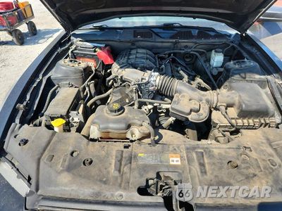 Zdjęcie 11 z 12 samochodu: 2014 FORD MUSTANG VIN:1ZVBP8AMXE5207653 - miniatura