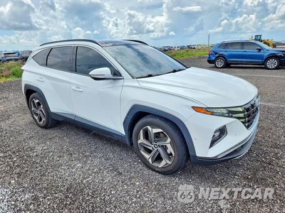 Czwarte zdjęcie samochodu z boku: 2024 HYUNDAI TUCSON LIMITED VIN:5NMJE3DE8RH413732 - miniatura