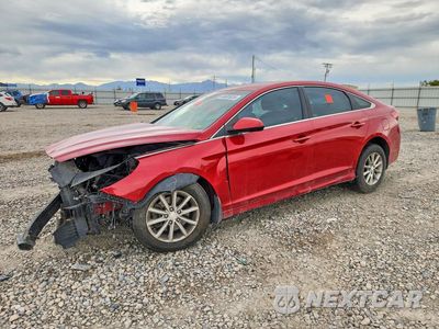 2019 HYUNDAI SONATA SE 5NPE24AF1KH782678 - główne zdjęcie licytacji z USA - miniatura