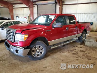 2011 FORD F150 SUPERCREW 1FTFW1EF5BFA89575 - główne zdjęcie licytacji z USA - miniatura
