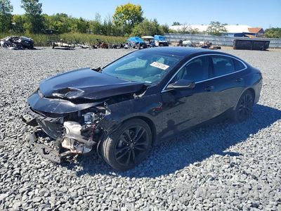 2021 CHEVROLET MALIBU LT 1G1ZD5ST0MF003461 - główne zdjęcie licytacji z USA - miniatura