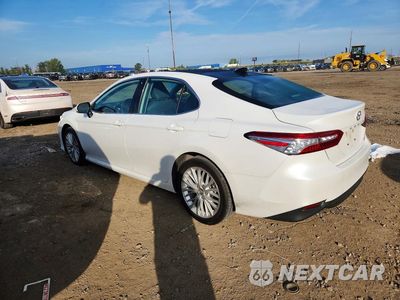 Drugie zdjęcie samochodu z przodu: 2019 TOYOTA CAMRY XLE VIN:4T1B11HK1KU792345 - miniatura