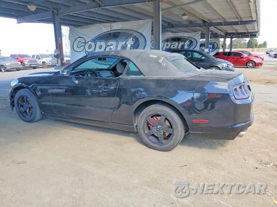 Drugie zdjęcie samochodu z przodu: 2013 FORD MUSTANG VIN:1ZVBP8EM1D5203919 - miniatura