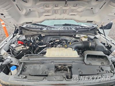 Zdjęcie 11 z 12 samochodu: 2024 FORD F150 STX VIN:1FTEW2LP8RFB20499 - miniatura