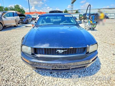 Piąte zdjęcie samochodu w środku: 2009 FORD MUSTANG VIN:1ZVHT80N695102369 - miniatura