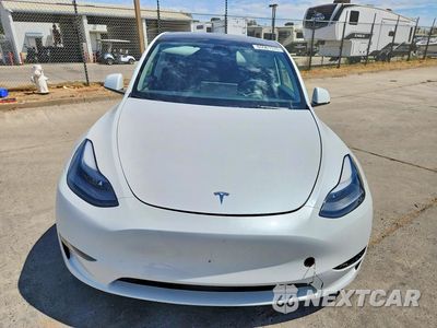 Piąte zdjęcie samochodu w środku: 2024 TESLA MODEL Y VIN:7SAYGDED7RF154403 - miniatura