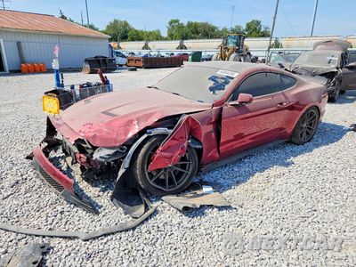 2019 FORD MUSTANG GT 1FA6P8CF1K5107400 - główne zdjęcie licytacji z USA - miniatura