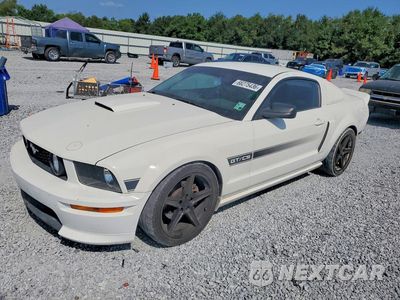 2009 FORD MUSTANG GT 1ZVHT82H795128454 - główne zdjęcie licytacji z USA - miniatura