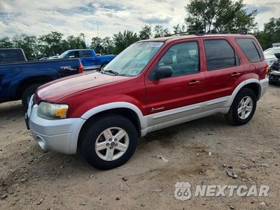2006 FORD ESCAPE HEV 1FMCU95HX6KD36977 - główne zdjęcie licytacji z USA - miniatura