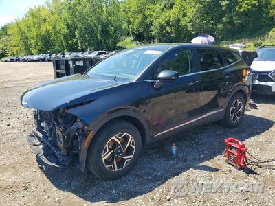 2024 KIA SPORTAGE LX KNDPUCDF0R7242987 - główne zdjęcie licytacji z USA - miniatura