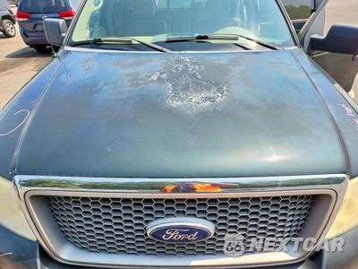 Zdjęcie 11 z 12 samochodu: 2006 FORD F150 SUPERCREW VIN:1FTPW14V16FB15284 - miniatura