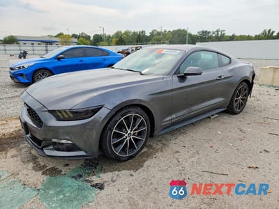 2017 FORD MUSTANG 1FA6P8TH1H5256996 - główne zdjęcie licytacji z USA - miniatura