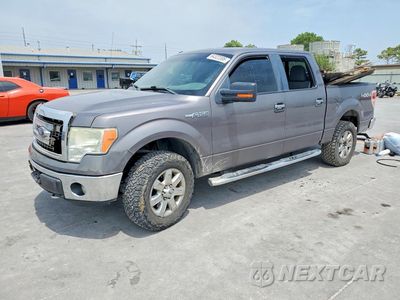 2014 FORD F150 SUPERCREW 1FTFW1EF4EKF53466 - główne zdjęcie licytacji z USA - miniatura
