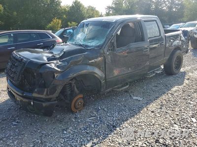 2014 FORD F150 SUPERCREW 1FTFW1EF0EFD03716 - główne zdjęcie licytacji z USA - miniatura