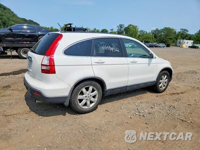 Trzecie zdjęcie samochodu z tyłu: 2007 HONDA CR-V EXL VIN:JHLRE487X7C076337 - miniatura